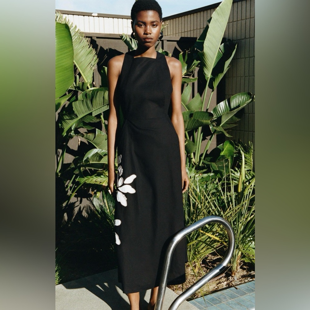 Zara ZW Collection Embroidered Floral Dress